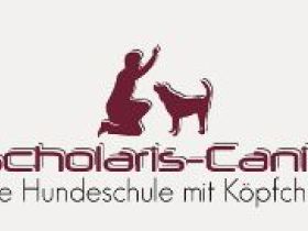 Scholaris Canis