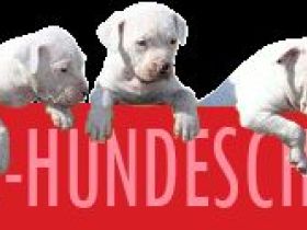 Online-Hundeschule.ch in der Schweiz