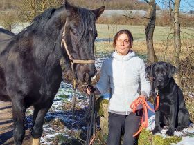 Tierheilpraxis Simone Fischer