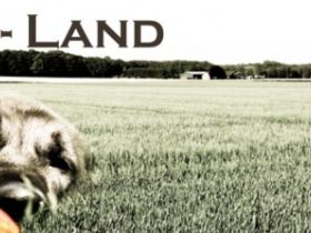 Dog-Land