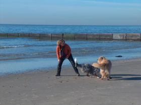 Komplementäre ganzheitliche–sozialpäd. Begleitung