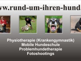Rund um Ihren Hund - Jost Wunner