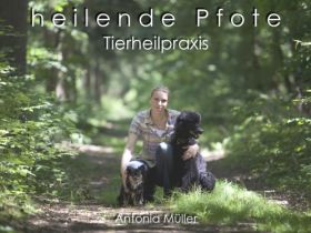 Tierheilpraxis heilende Pfote