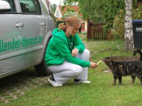 Mobile Kleintierpraxis Dr. Bredenbröker