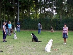 Hundeschule Wildenrath
