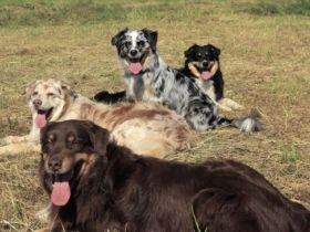 Martins Magic Moments