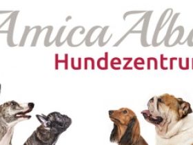 AMICA ALBA Hundezentrum