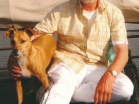 Tierheilpraktiker und Tierpsychologe Hans-Jürgen Otte