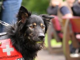 BRH Rettungshundestaffel Sachsen Nord e.V.  mit Sitz in Leipzig