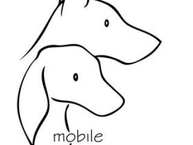 Mobile Hundeschule Freiburg