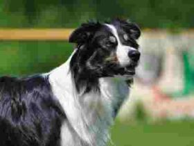 On my Own More than Words can say