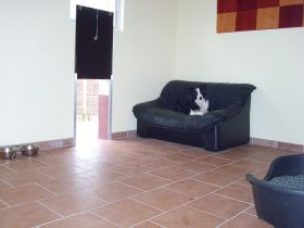 Die kleine Hundepension Techt