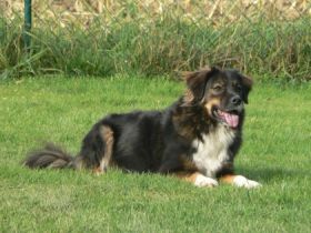 IRJGV-Baumberge (Kreis Coesfeld)