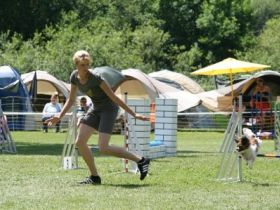 Hundeschule Dog For Fun Training