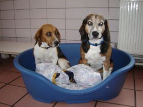 Tierpension Scheffler