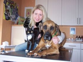 Tierheilpraxis Mengwasser