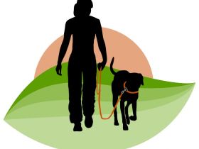 Ganzheitliche Hundeschule Andrea Stadler