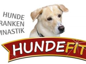 Hundekrankengymnastik Hundefit