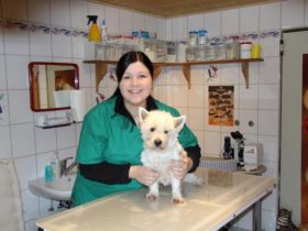 TIERHEILPRAXIS LANGHOJER