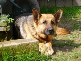 vom Altenburger Land