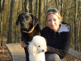 Hunderschule Bellosbest