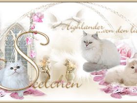 Von den lieben Seelchen