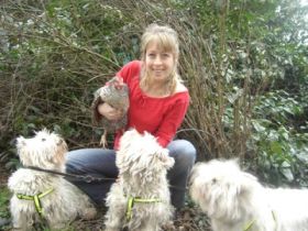 Tierheilpraxis für Gross- und Kleintiere Eva Bode