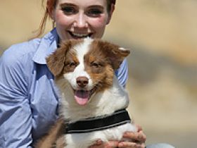 Hundeschule BODYTALK