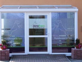 janathera - Physiotherapie für Tiere