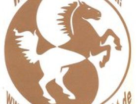 Pferde-Therapie-Direkt, Bruno Stanitzki