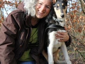 Viering Hundeberatung