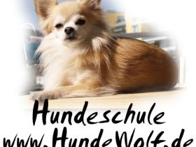 Hundeschule HundeWolf