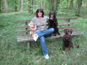 sos-dogcoach Saarbrücken