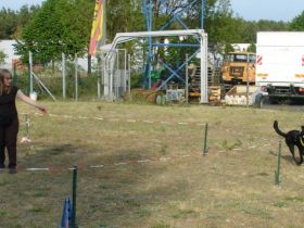 Schlaubetaler Hunde-Akademie