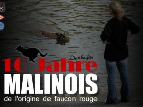 de l'origine de faucon rouge
