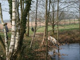 Hundepension Hundelogik