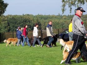 Hundesportverein Geringswalde e.V.