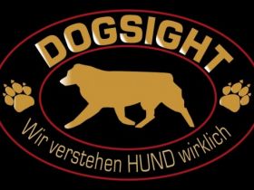 Dogsight
