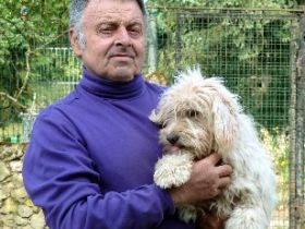 Tierheilpraxis für Hunde. Rainer Schiener. ww.Westerwald,rlp