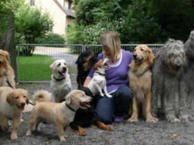 Pet-Homeservice und Pension