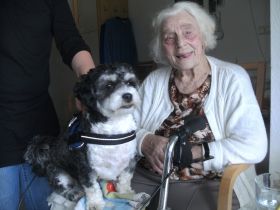 Engel auf vier Pfoten