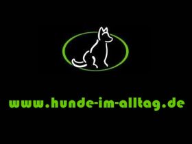 Hunde im Alltag