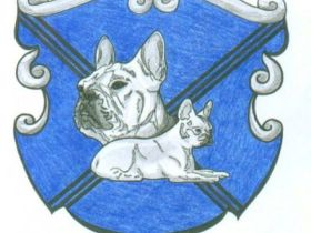 vom Schloss Bellevue