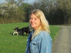 Hundepension dogs guesthouse