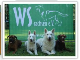 Hundeschule "Mit Strategie zum Erfolg"