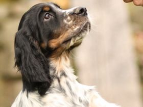 Team-Schule-Harmonie