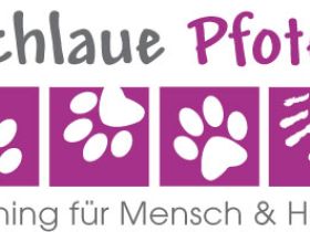 Hundeschule Schlaue Pfoten