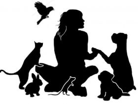 Haustierservice für alle Felle!