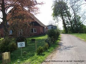 de lütt`Hundehütt