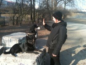 Dogmatic Hundetraining